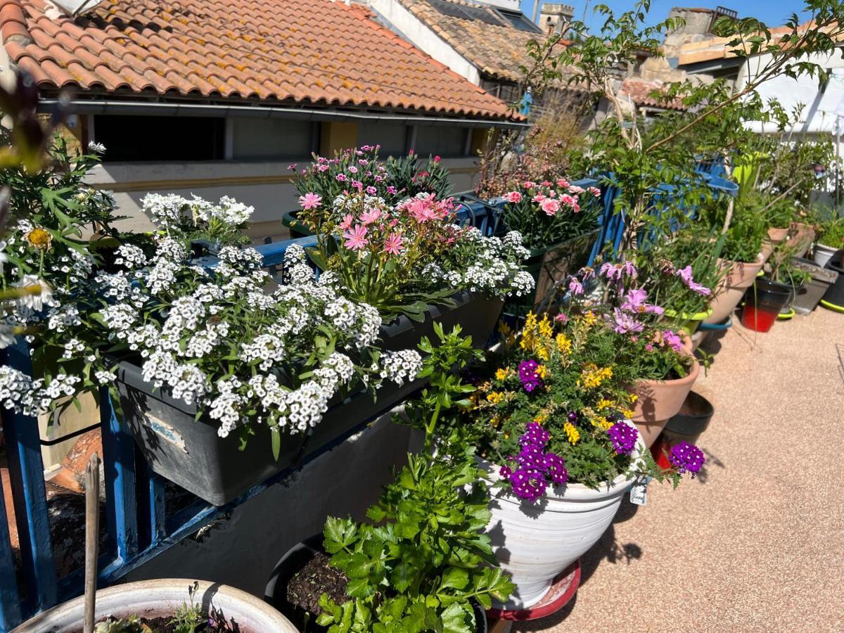 Loft Apartment , La Terrasse Centre Ville D'Arles, Eksteriør bilde