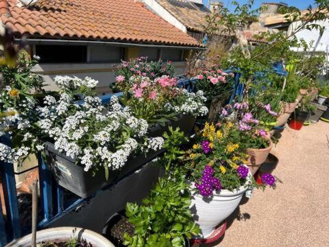 Loft Apartment , La Terrasse Centre Ville D'Arles, Eksteriør bilde